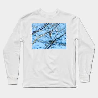 22017 grey Long Sleeve T-Shirt